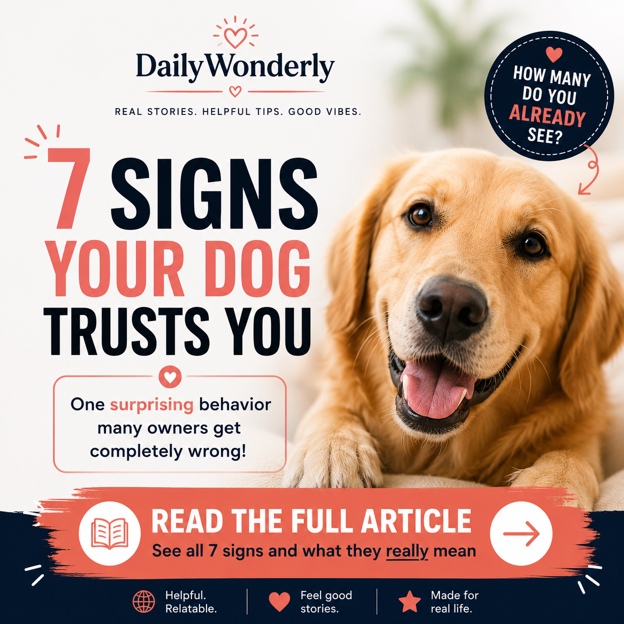Dog showing signs of trust