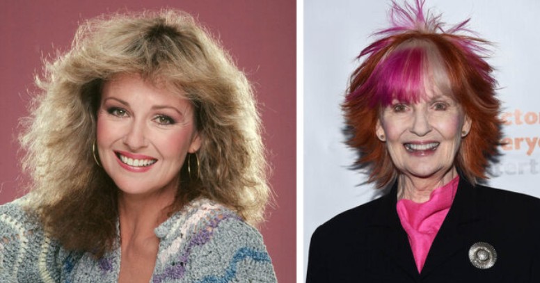 Tribute image for actress Shelley Fabares